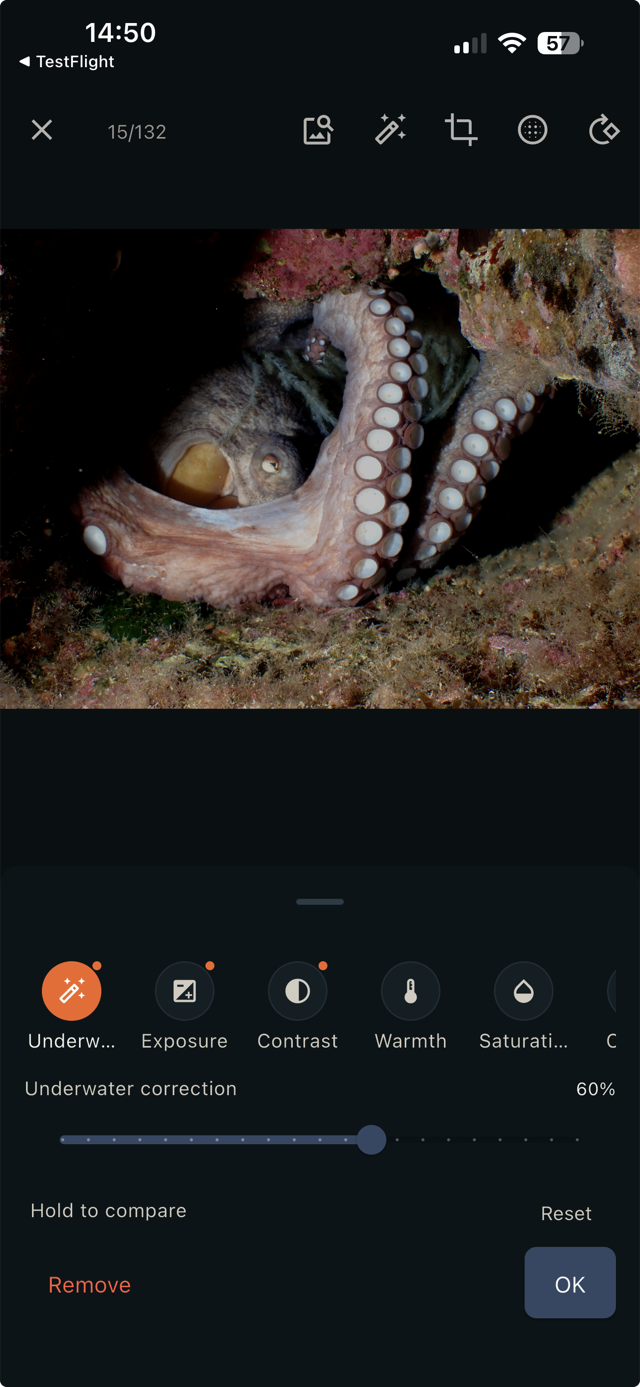 An octopus photo with the underwater correction dialled to 60 percent