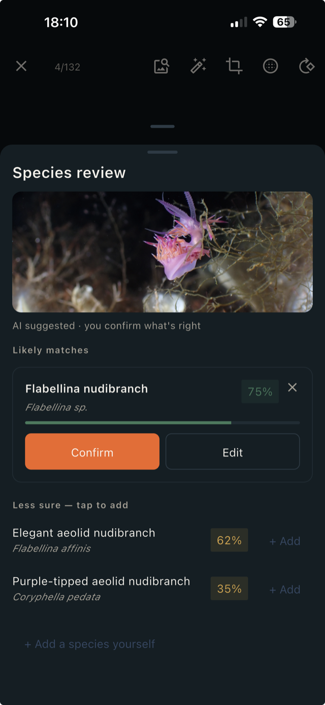 Marine-life identification with localized species names